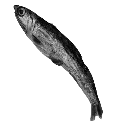 comprar boqueron deshidratado