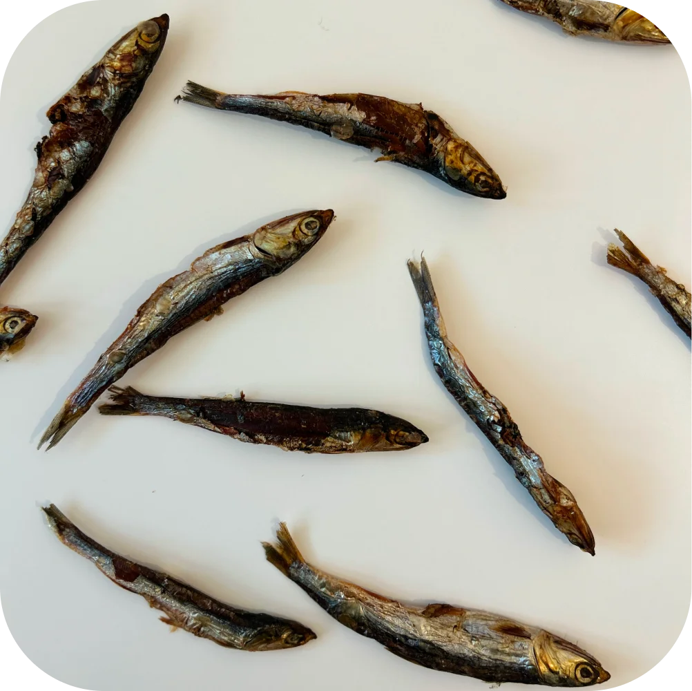 boquerón deshidratado