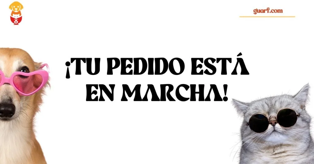 5 Señales de Que Tu Mascota Necesita Un Cambio en Su Dieta palabra clave objetivo