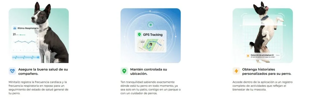 Monitorear la salud de tu perro o gato Monitorear la salud de tu perro o gato