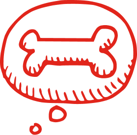 Snack saludable para gatos