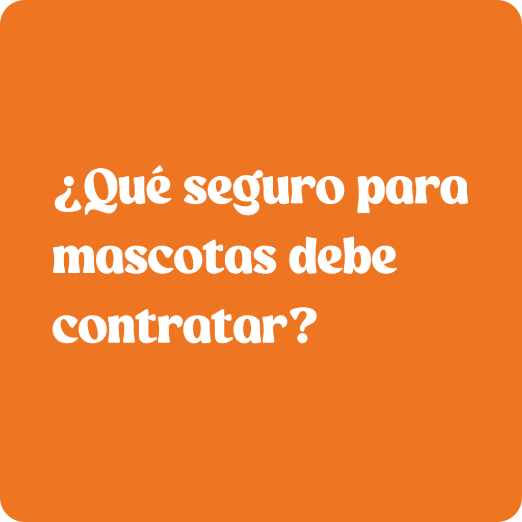 Seguro para mascotas