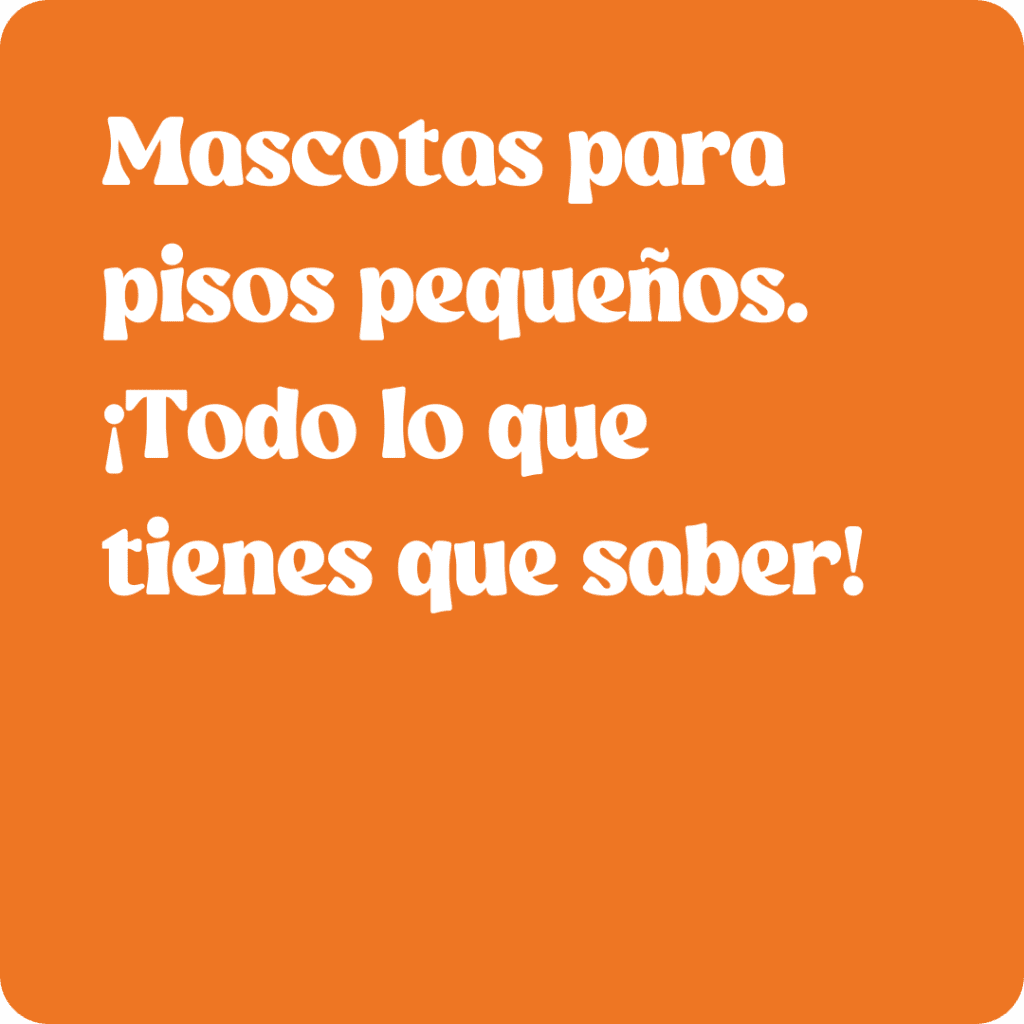 mascotas para pisos pequeños