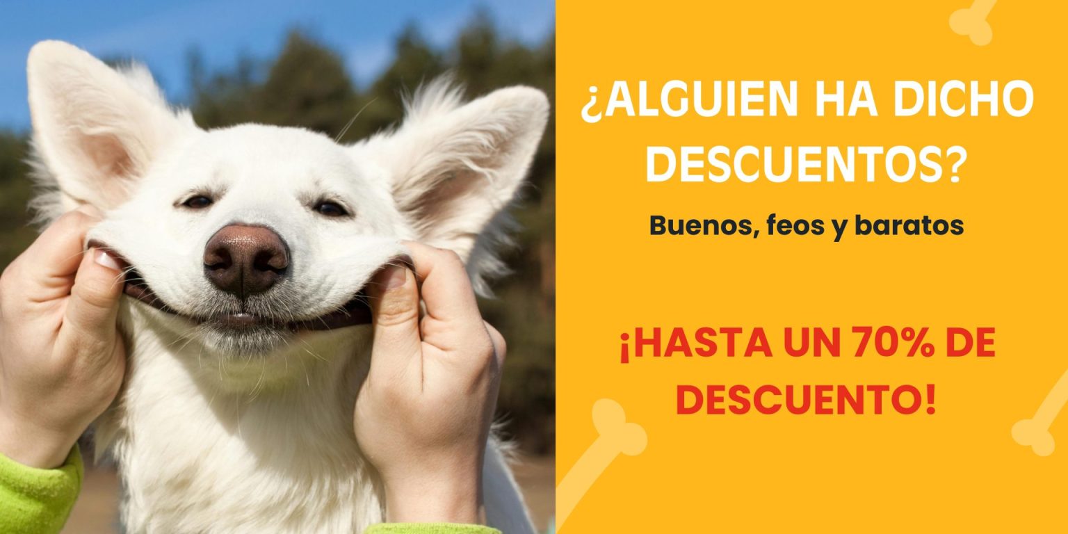 Inicio Inicio