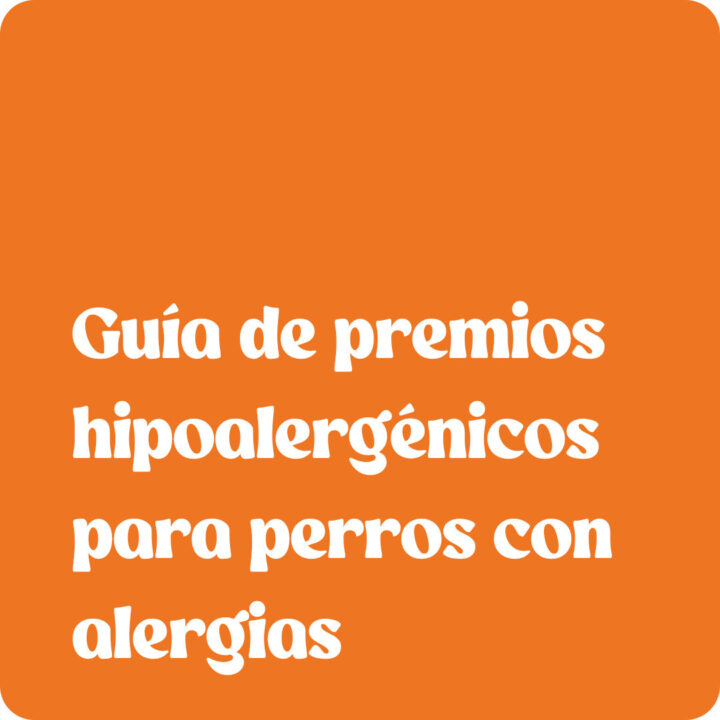 Guía de premios hipoalergénicos para perros con alergias