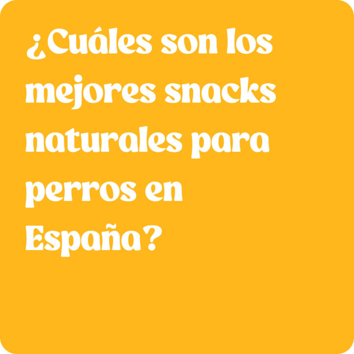 ¿Cuáles son los mejores snacks naturales para perros en España?
