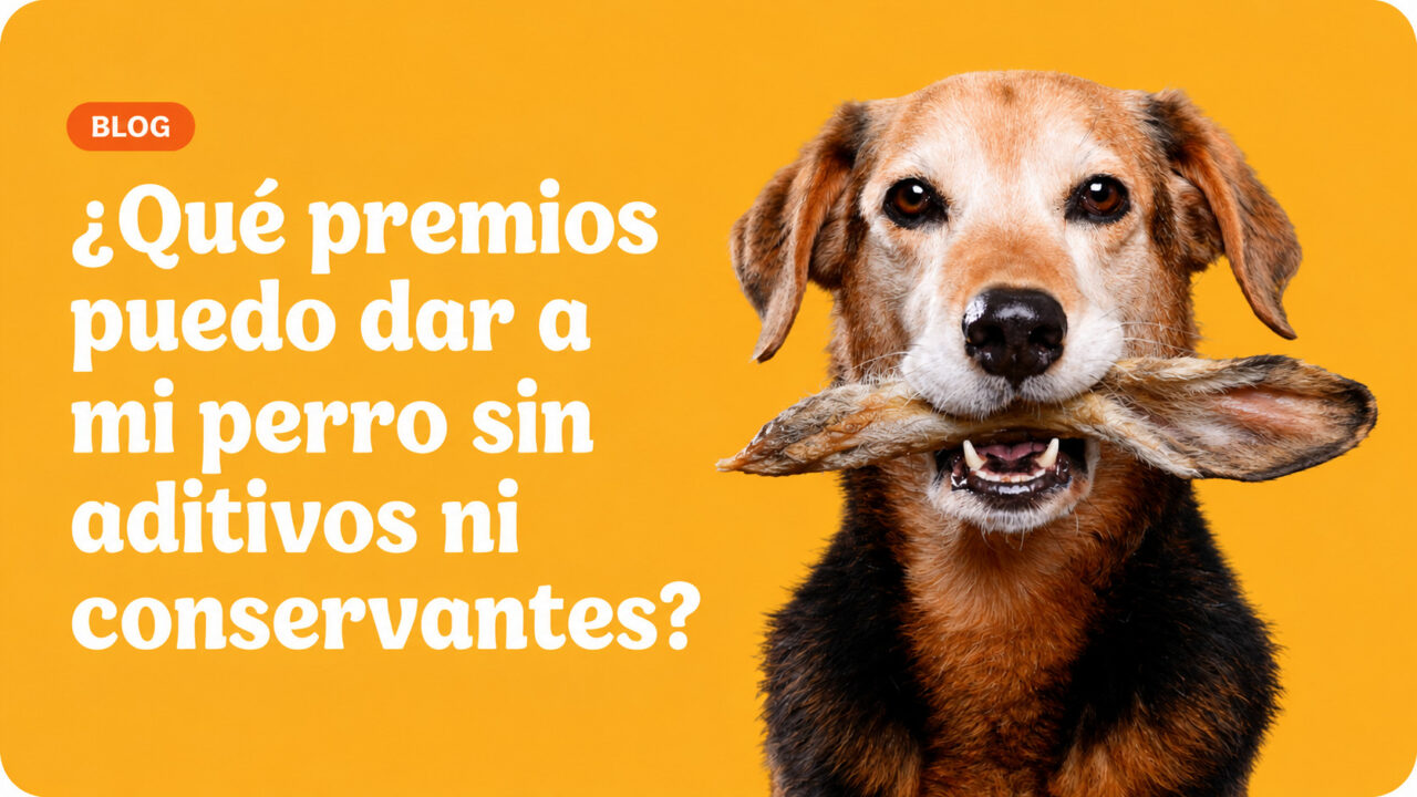 ¿Qué premios saludables puedo dar a mi perro sin aditivos ni conservantes?