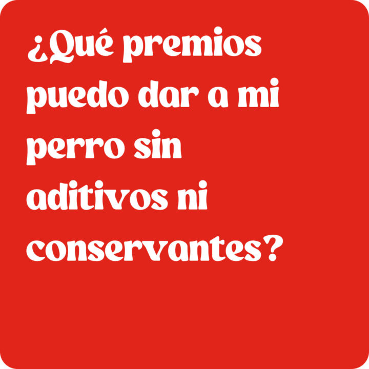 ¿Qué premios puedo dar a mi perro sin aditivos ni conservantes?